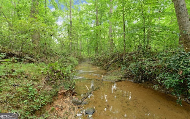 186 Foxdale Dr, Toccoa, GA 30577 - view of local wilderness