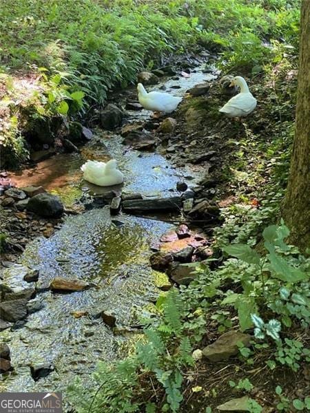 19 Mccrary Ct, Ellijay, GA 30536 - view of local wilderness