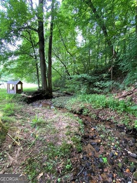 19 Mccrary Ct, Ellijay, GA 30536 - view of local wilderness