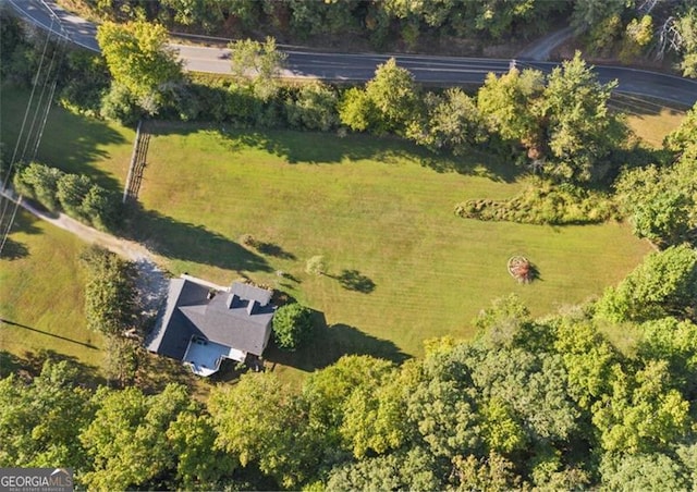 19 Mccrary Ct, Ellijay, GA 30536 - birds eye view of property