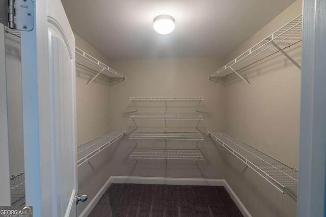 170 Shoal Park Dr, Mcdonough, GA 30252 - spacious closet featuring carpet