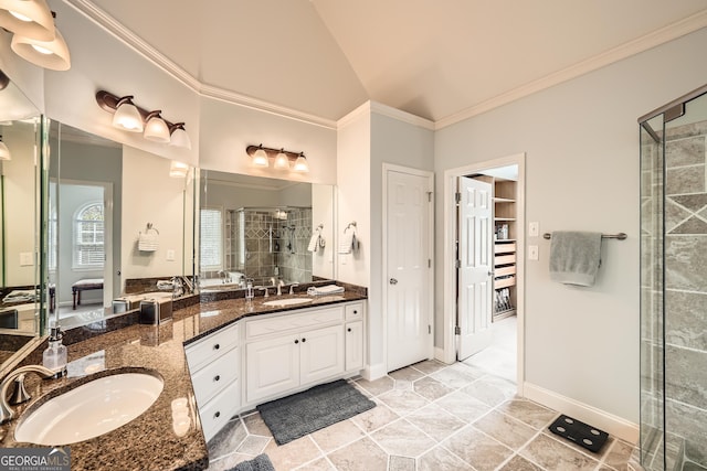 full bathroom featuring a sink, ornamental molding, double vanity, and a stall shower