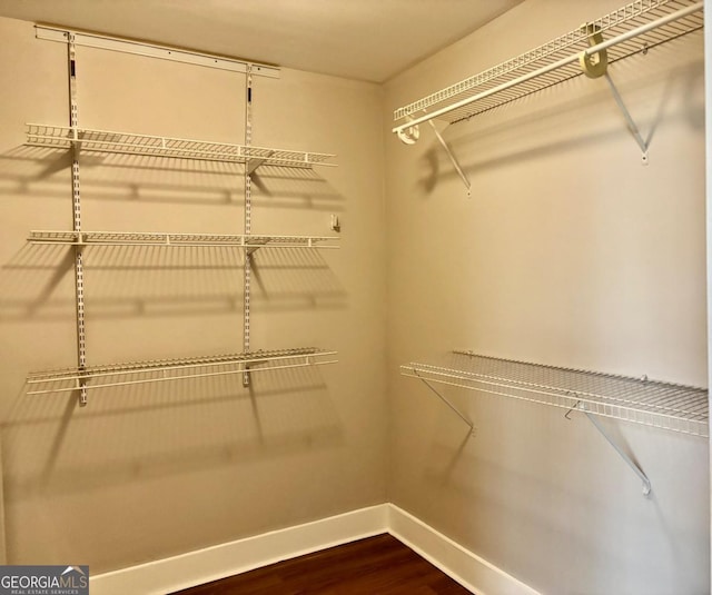 spacious closet featuring dark wood-style flooring