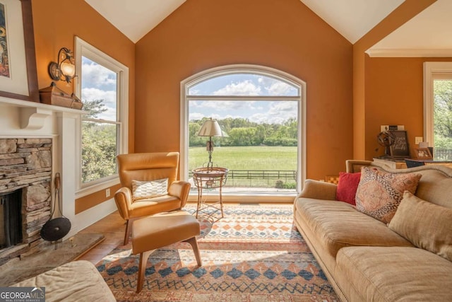 20 Rivercreek Xing, Kingston, GA 30145 - living room featuring vaulted ceiling, a stone fireplace, and wood finished floors