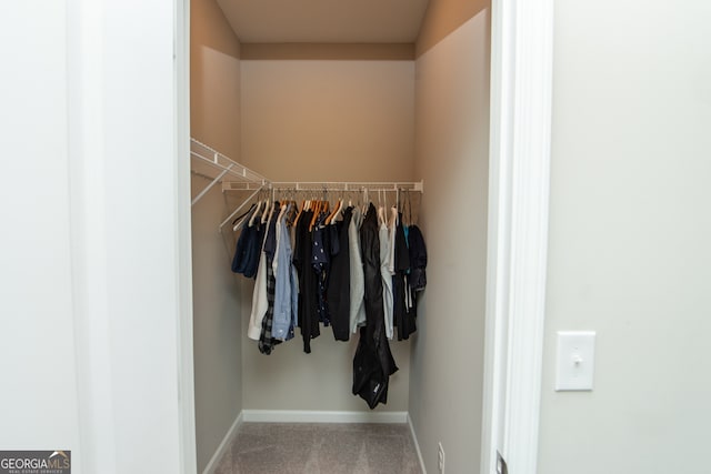 3495 Delegate Aly, Scottdale, GA 30079 - view of spacious closet