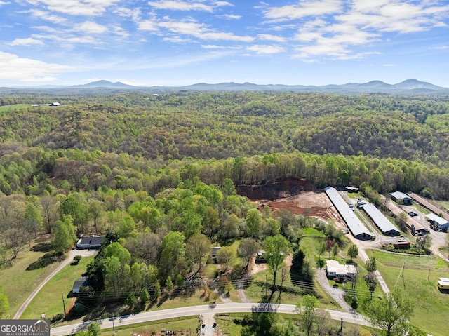 birds eye view of property with a wooded view and a mountain view