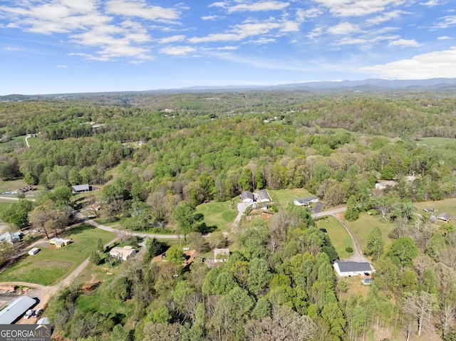 bird's eye view with a view of trees