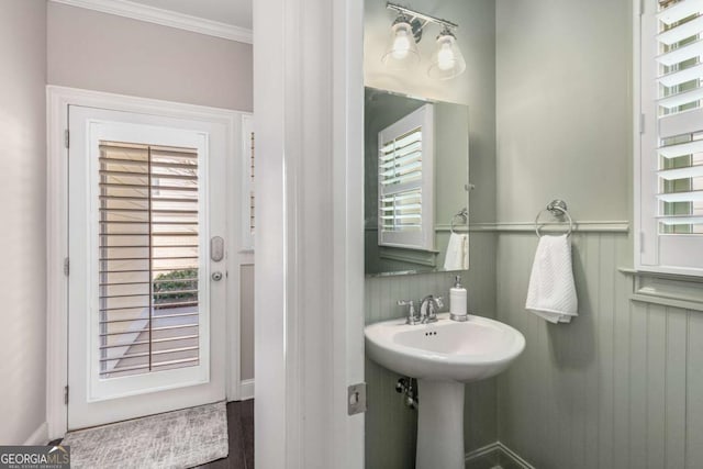 bathroom featuring crown molding and a sink