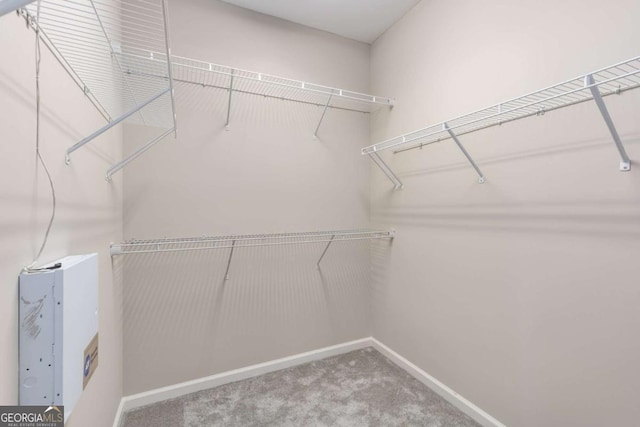 spacious closet with carpet