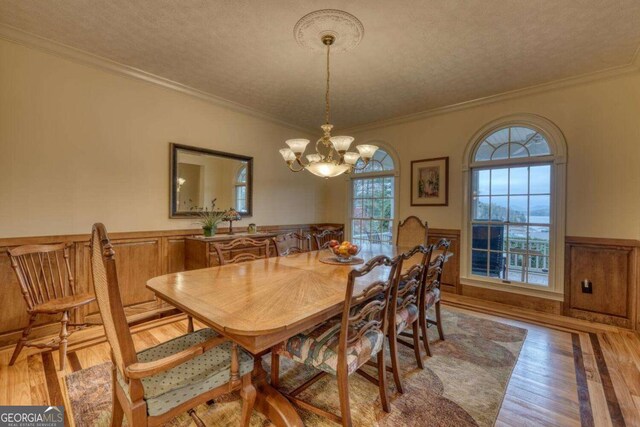 dining space with a wainscoted wall, ornamental molding, a textured ceiling, a chandelier, and light wood-style floors