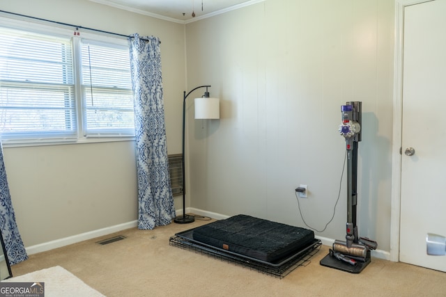 140 Goldust Ave, Clarkesville, GA 30523 - workout room with carpet and crown molding