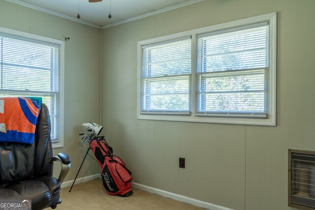 140 Goldust Ave, Clarkesville, GA 30523 - recreation room with carpet, plenty of natural light, ornamental molding, and ceiling fan