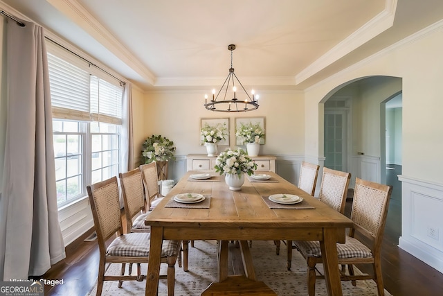 dining room featuring a chandelier, dark wood-style floors, a healthy amount of sunlight, and a raised ceiling