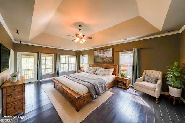 bedroom with dark wood-style floors, multiple windows, crown molding, and a raised ceiling