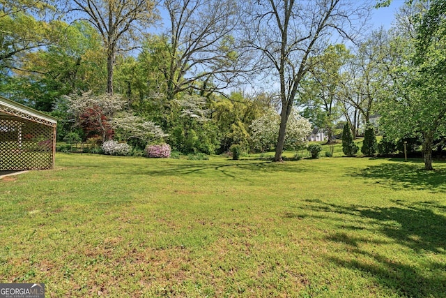 view of yard