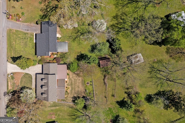 drone / aerial view
