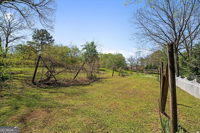 313 Ellenwood Dr, Bowdon, GA 30108 - view of yard