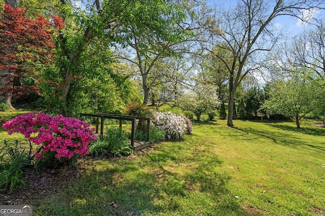 313 Ellenwood Dr, Bowdon, GA 30108 - view of green lawn