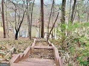 89 Paces Lakes Pt, Dallas, GA 30157 - view of yard