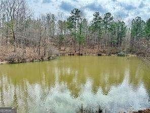89 Paces Lakes Pt, Dallas, GA 30157 - water view