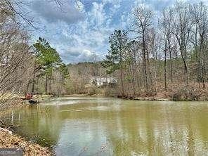 89 Paces Lakes Pt, Dallas, GA 30157 - water view with a forest