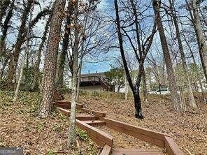 89 Paces Lakes Pt, Dallas, GA 30157 - view of yard