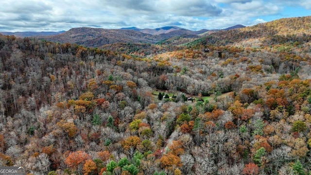 2479 Plum Orchard Rd Unit 1 & 2, Clayton, GA 30525 - mountain view with a heavily wooded area