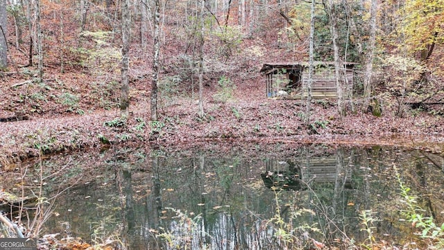 2479 Plum Orchard Rd Unit 1 & 2, Clayton, GA 30525 - view of tree filled area