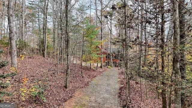 2479 Plum Orchard Rd Unit 1 & 2, Clayton, GA 30525 - view of road featuring a view of trees