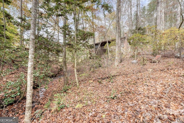 2479 Plum Orchard Rd Unit 1 & 2, Clayton, GA 30525 - view of wooded area