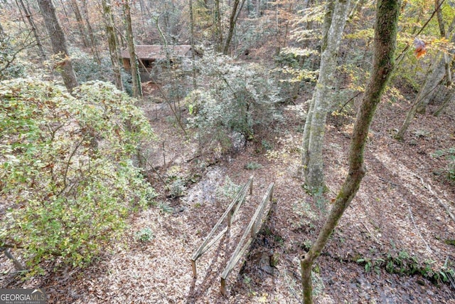 2479 Plum Orchard Rd Unit 1 & 2, Clayton, GA 30525 - view of wooded area