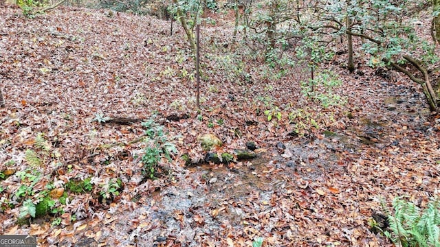 2479 Plum Orchard Rd Unit 1 & 2, Clayton, GA 30525 - view of nature
