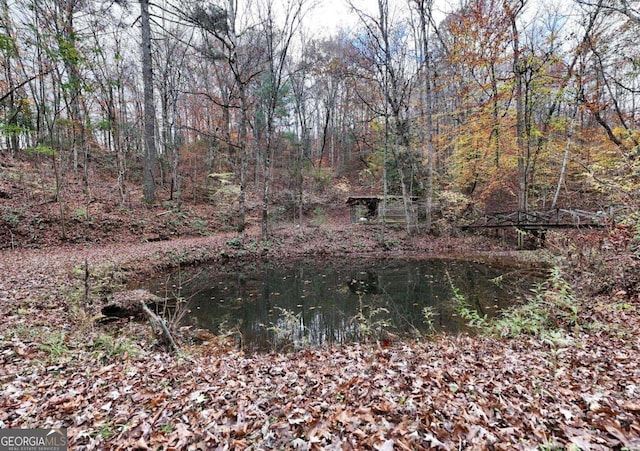 2479 Plum Orchard Rd Unit 1 & 2, Clayton, GA 30525 - view of woods