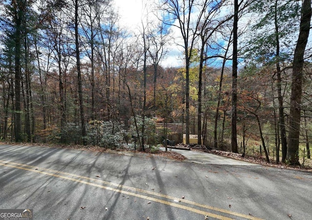 2479 Plum Orchard Rd Unit 1 & 2, Clayton, GA 30525 - view of road featuring a wooded view