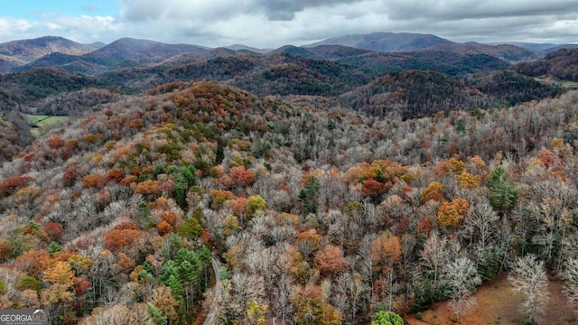 2479 Plum Orchard Rd Unit 1 & 2, Clayton, GA 30525 - mountain view with a forest