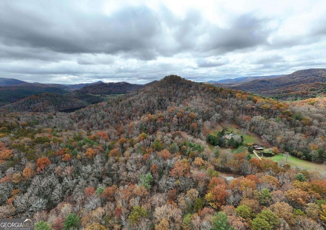 2479 Plum Orchard Rd Unit 1 & 2, Clayton, GA 30525 - mountain view with a heavily wooded area