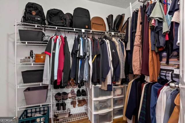 5663 Brookstone Dr NW, Acworth, GA 30101 - view of walk in closet