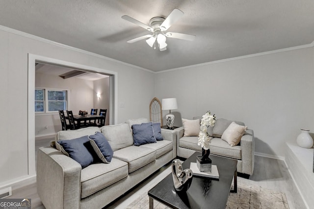21 W Lake Dr, Oxford, GA 30054 - living room featuring crown molding, ceiling fan, light wood finished floors, and baseboards