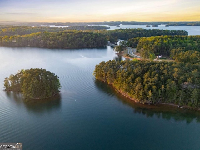 6477 Old Shadburn Ferry Rd, Buford, GA 30518 - aerial view at dusk of a wooded view and a water view