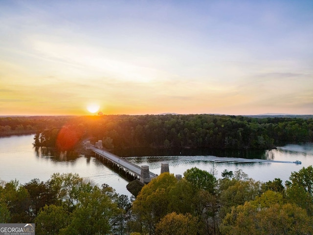 6477 Old Shadburn Ferry Rd, Buford, GA 30518 - dock area with a water view and a forest view