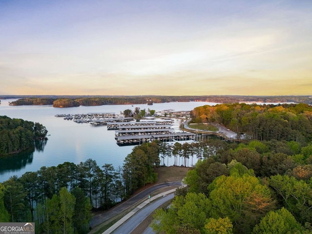 6477 Old Shadburn Ferry Rd, Buford, GA 30518 - aerial view at dusk of a water view