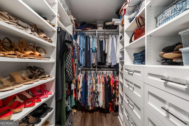 6477 Old Shadburn Ferry Rd, Buford, GA 30518 - spacious closet with dark wood-style flooring