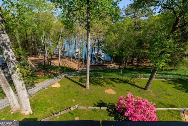 6477 Old Shadburn Ferry Rd, Buford, GA 30518 - view of yard