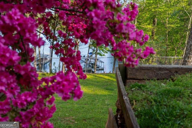 6477 Old Shadburn Ferry Rd, Buford, GA 30518 - view of yard