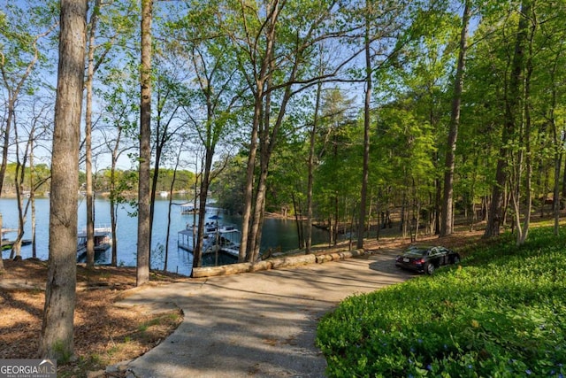 6477 Old Shadburn Ferry Rd, Buford, GA 30518 - view of property's community featuring a water view, a dock, and driveway