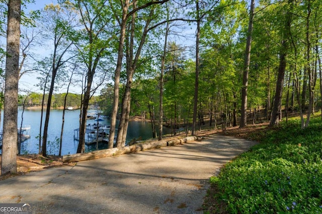 6477 Old Shadburn Ferry Rd, Buford, GA 30518 - water view with a boat dock