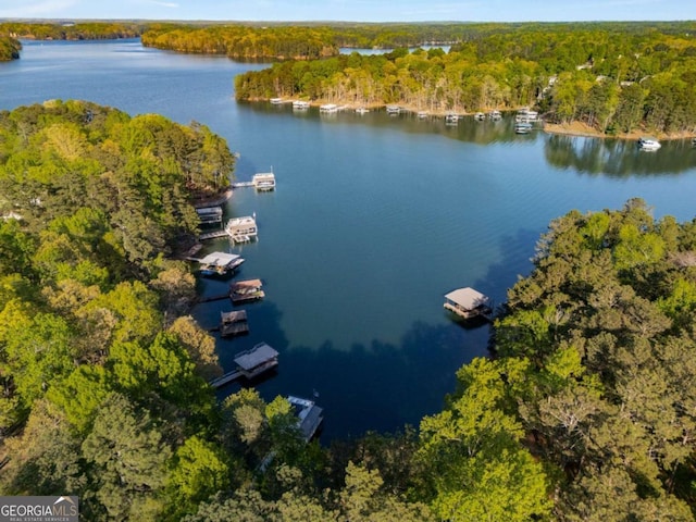 6477 Old Shadburn Ferry Rd, Buford, GA 30518 - aerial view of property's location with a heavily wooded area and a large body of water