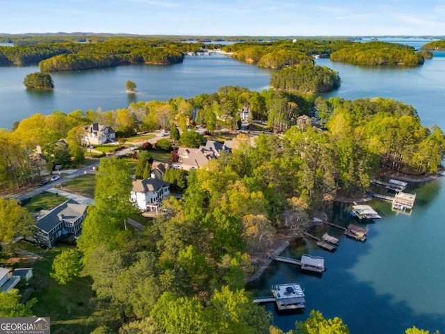 6477 Old Shadburn Ferry Rd, Buford, GA 30518 - aerial view of property and surrounding area featuring a large body of water and a heavily wooded area