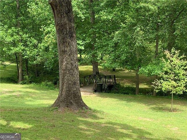 1914 Bragg St, Brookhaven, GA 30341 - view of yard