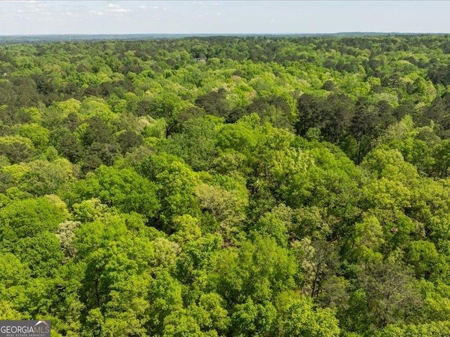 5761 Kentucky Downs Dr, Macon, GA 31210 - bird's eye view of a forest